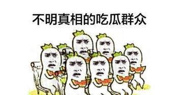 拒绝做 吃瓜群众,主动参与社会建设