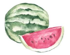 为簪花吃大瓜,一场穿越时空的美食盛宴