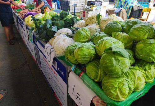 临沧大妈吃瓜,一场别开生面的“吃瓜”盛宴