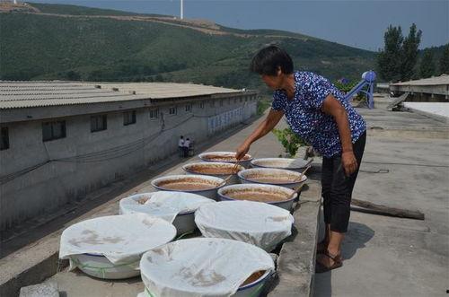 临沧大妈吃瓜,一场别开生面的“吃瓜”盛宴