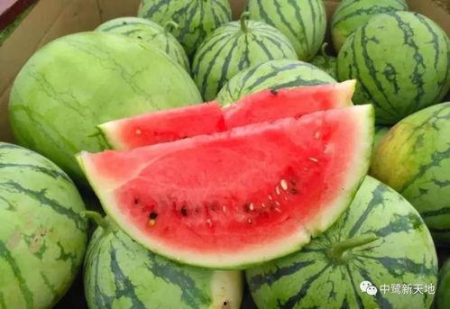 快点阅读吃瓜,快点阅读带你揭秘网络热点