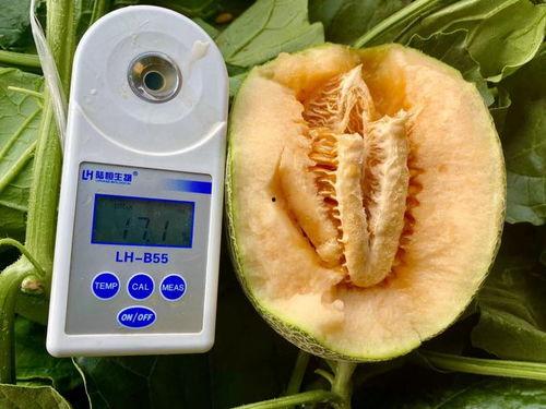 全网最全吃瓜大全,揭秘娱乐圈幕后真相，带你领略八卦风云