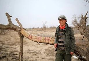 吉林沙漠吃瓜群众,吃瓜群众的沙漠奇遇记