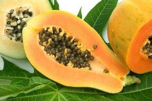 胃病可以吃哈咪瓜吗,胃病患者适宜食用哈咪瓜的饮食建议