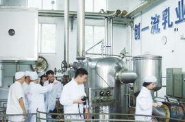 车间跟单吃瓜,见证瓜农的辛勤与收获