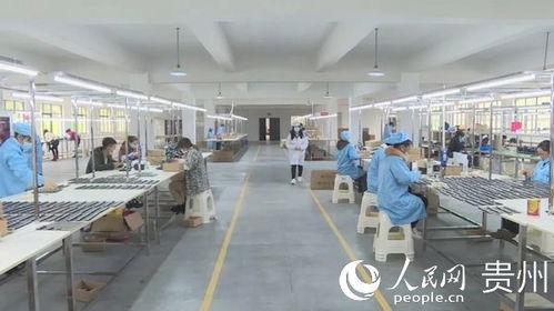 车间跟单吃瓜,见证瓜农的辛勤与收获