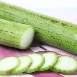 吃瓜脑袋虫,网络热词背后的文化现象