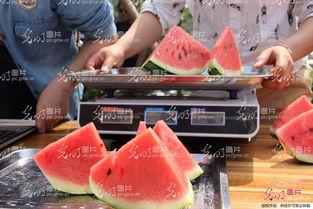 山东吃瓜博主,山东吃瓜博主带你领略地道山东美食风情