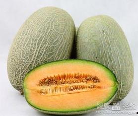 喝完白术可以吃哈密瓜吗,饮食搭配的适宜性探讨