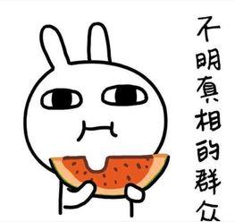 蹲着吃瓜文案,品味生活小确幸