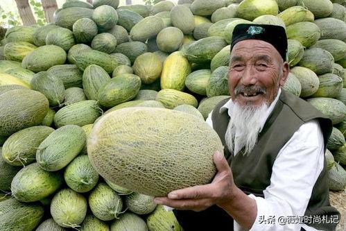 吃哈密瓜的学问,解锁夏日清凉的甜蜜学问