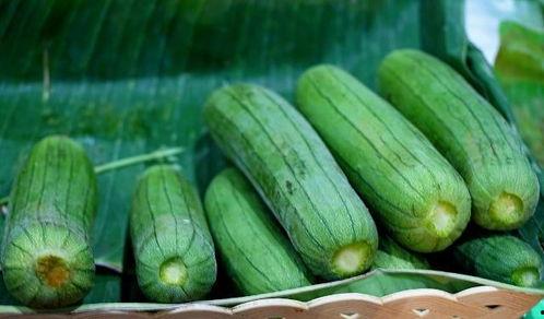 不想每天吃瓜,拥抱宁静生活