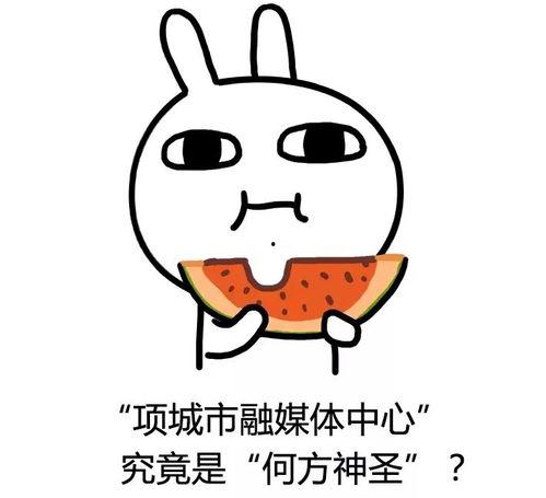 反婊反黑吃瓜,共建清朗网络空间——反婊反黑吃瓜行动纪实