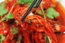 吃瓜可以吃小龙虾吗,小龙虾也能成为美味佳肴