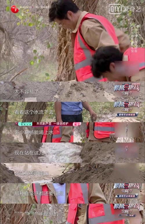 99岁吃瓜群众,岁月流转中的生活智慧与人生感悟