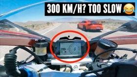 兰博吃瓜视频,揭秘娱乐圈幕后真相