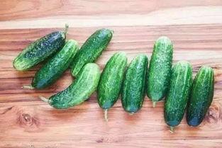 烂瓜杆子怎么吃,创意食用指南