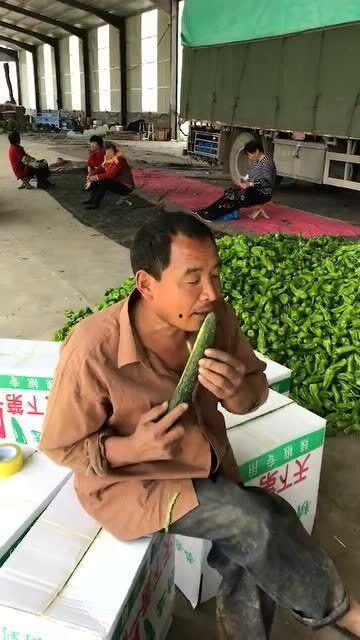 搬砖吃瓜视频,揭秘现代生活两种截然不同的生活态度