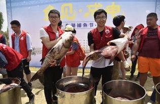 东湖学院吃瓜,揭秘校园美食背后的故事