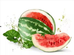 吃瓜 美食,探寻吃瓜美食的独特风味