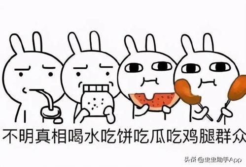 带你吃瓜兔子游戏,带你领略“吃瓜兔子”游戏的趣味世界