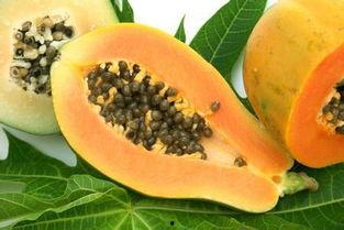 胃病可以吃哈咪瓜吗