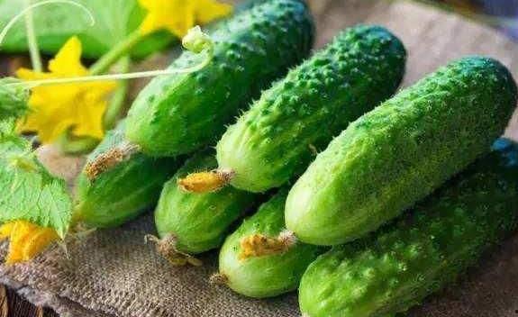 吃瓜加什么菜,解锁夏日清爽美食搭配秘籍