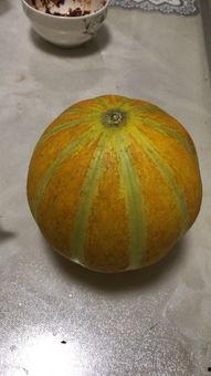 怀孕一个月可以吃瓜吗,孕妇可以放心吃瓜吗？