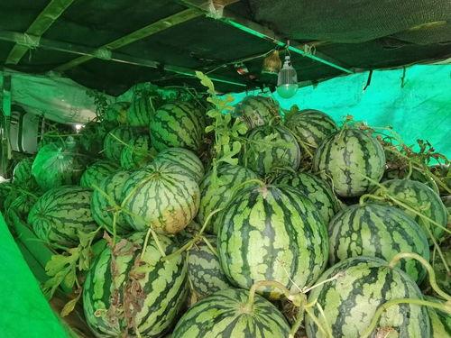 汾阳市吃瓜视频,揭秘当地特色美食与风土人情