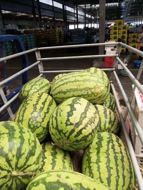 汾阳市吃瓜视频,揭秘当地特色美食与风土人情