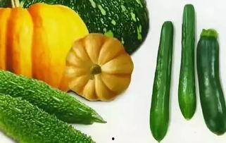 夏天免费吃瓜视频,一起畅享清凉视频时光