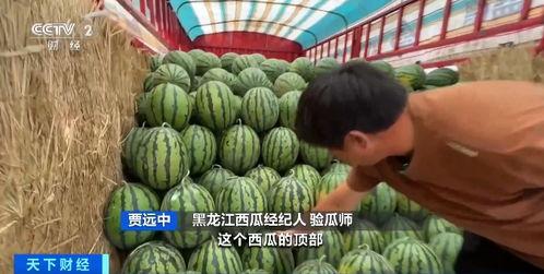 凌月吃瓜,揭秘娱乐圈背后的那些事儿