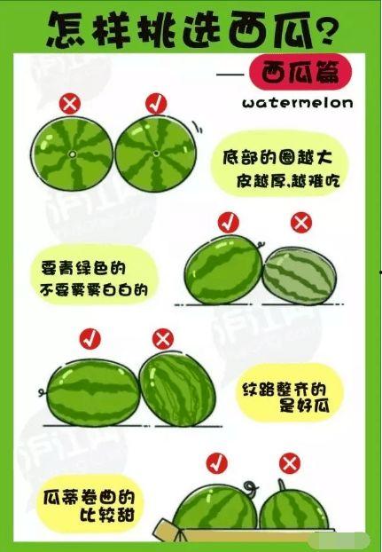 吃瓜心愿,揭秘吃瓜心愿背后的甜蜜诱惑