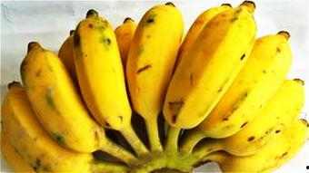 蕉柏吃瓜,探寻夏日消暑美食之旅