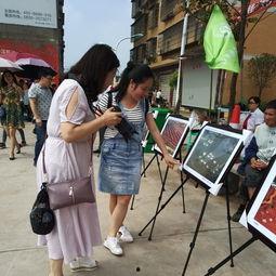 蚌埠吃瓜群众事件,网络舆论场上的风波与反思