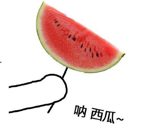 留学圈吃瓜上海,上海，这座国际都市的留学新风向标