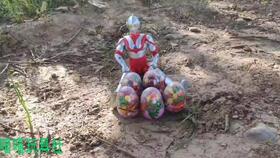 奥特曼吃瓜西瓜冬瓜,西瓜、冬瓜齐上阵