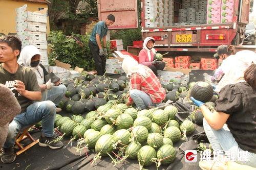 临江前线吃瓜,吃瓜群众见证历史瞬间