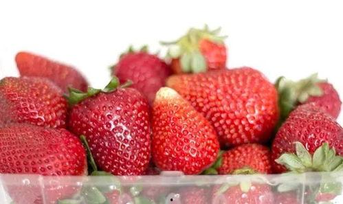 吃瓜草莓小果冻