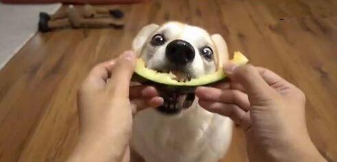 彬彬吃瓜,揭秘娱乐圈幕后故事