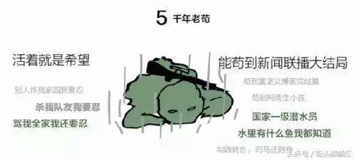 带你吃瓜之鸡,带你领略“带你吃瓜之鸡”的独特魅力