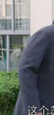 吃瓜群众忧伤视频,揭秘视频背后的感人故事