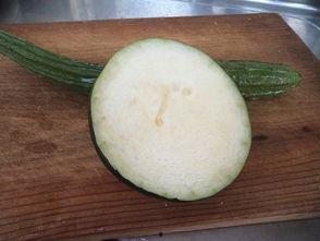 北美吃瓜酱,揭秘北美娱乐圈的“瓜田”