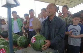 吃瓜群众韩城,揭秘娱乐圈背后的故事