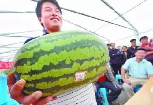 收费吃瓜的视频,视频收费背后的现象解析